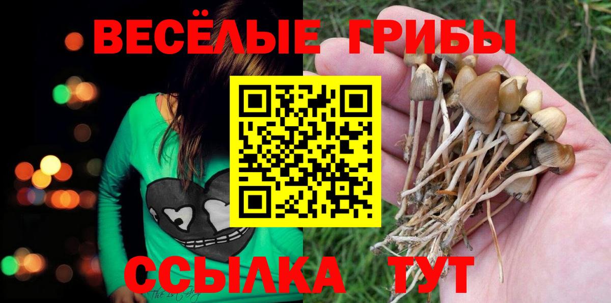 Галлюциногенные грибы Psilocybe  Вход с VPN  Тельмана 